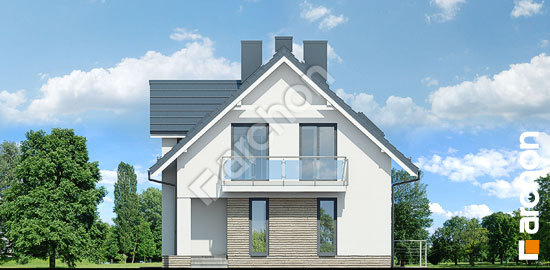 Боковой фасад Дом в циновках (П)