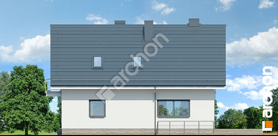 Дворовой фасад Дом в циновках (П)