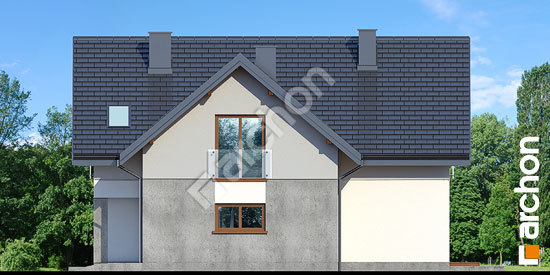 Бочний фасад Будинок в медянках