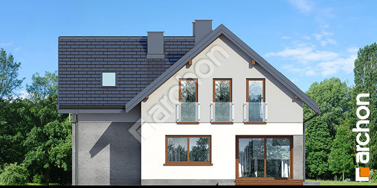 Дворовий фасад Будинок в медянках