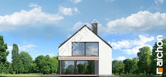 Дворовой фасад Дом в агапантах 2 (Г2)