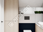 Проект будинку ARCHON+ Будинок в фіалках 9 (Р2Б) вер.2 візуалізація ванни (візуалізація 3 від 3)
