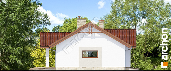 Бочний фасад Будинок в лещиновнику 3