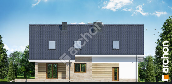 Дворовой фасад Дом в айдаредах (Г2) вер.2