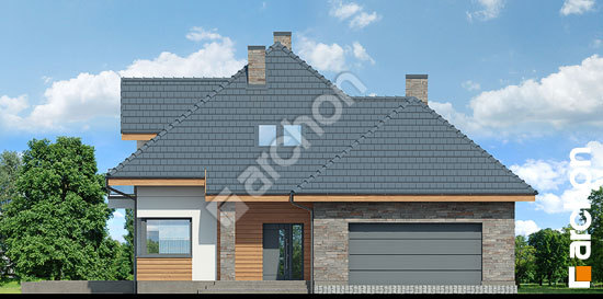 Передній фасад Будинок в сансев'єріях (Г2)