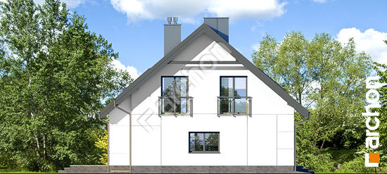 Боковой фасад Дом в аурорах (Г2П)