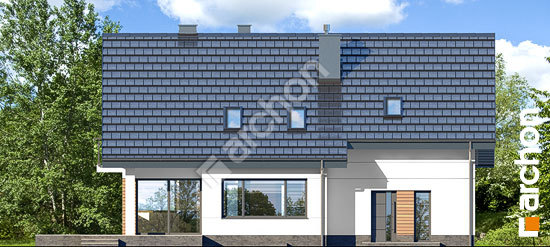 Дворовой фасад Дом в аурорах (Г2П)