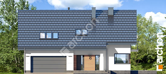 Передний фасад Дом в аурорах (Г2П)