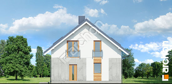 Бочний фасад Будинок в сніжноягідниках