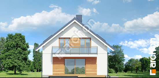 Боковой фасад Дом в снежноягодниках