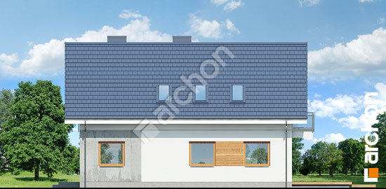 Дворовий фасад Будинок в сніжноягідниках