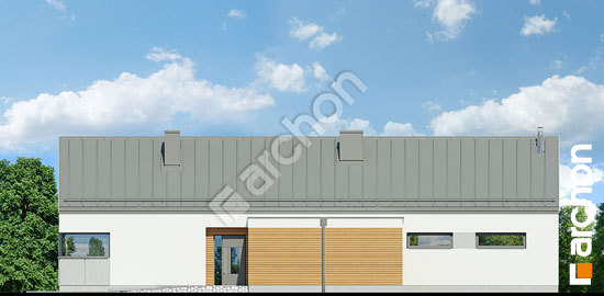 Бочний фасад Будинок в анабеліях