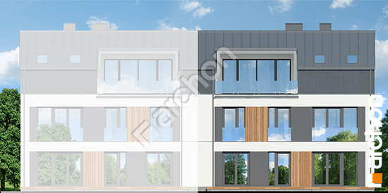 Дворовий фасад Будинок в халезіях 6 (Р2Б) вер.2