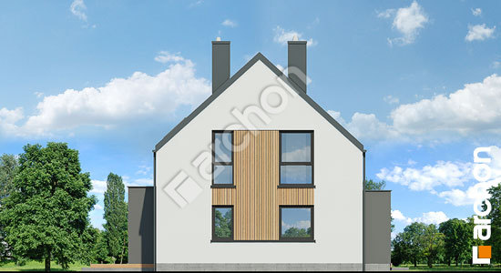 Бочний фасад Будинок в хлорофітумі 27