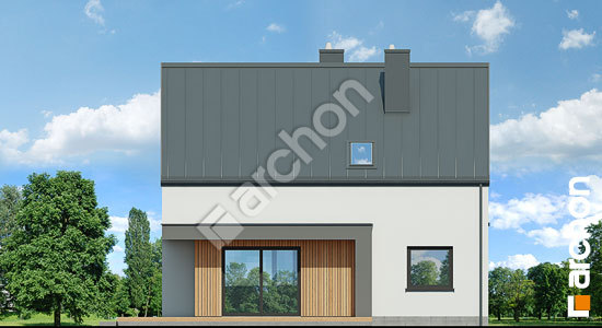 Дворовий фасад Будинок в хлорофітумі 27