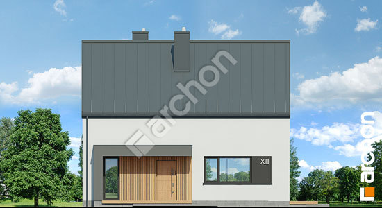 Передний фасад Дом в хлорофитуме 27