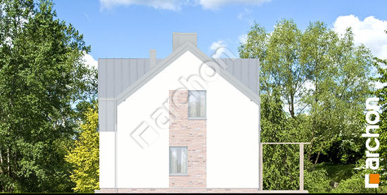 Боковой фасад Дом в гунерах (БА) вер. 2