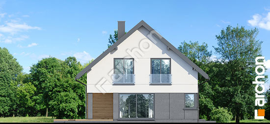 Бочний фасад Будинок в альстромеріях (ГЕ)