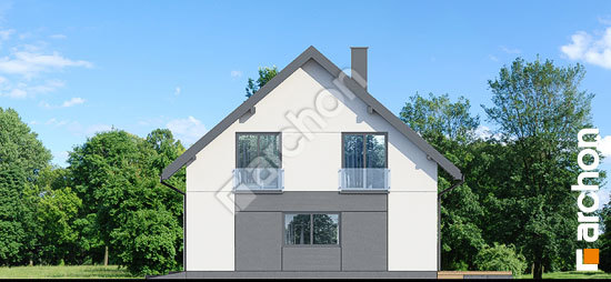 Боковой фасад Дом в альстромериях (ГЕ)