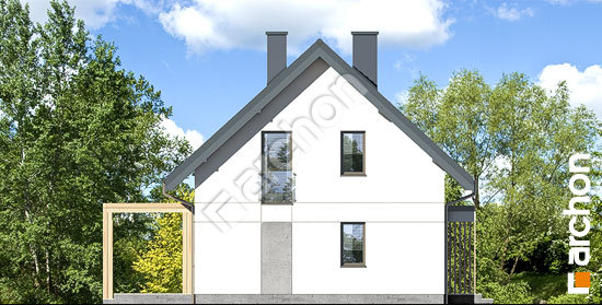 Боковой фасад Дом в хлорофитуме 11