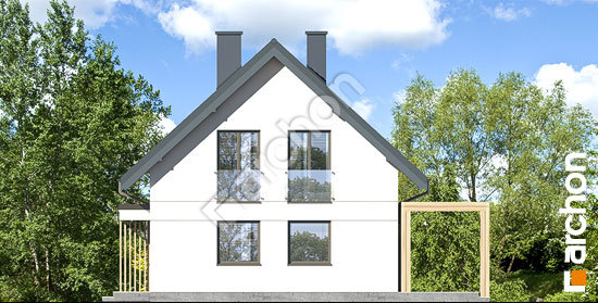 Боковой фасад Дом в хлорофитуме 11