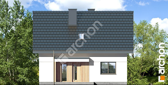 Передний фасад Дом в хлорофитуме 11