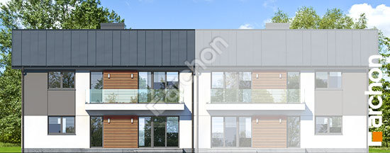 Дворовий фасад Будинок в горобиннику (Р2Б)