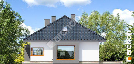 Бочний фасад Будинок під червоною горобиною 11 (Н)