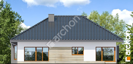 Дворовой фасад Дом под красной рябиной 11 (Н)