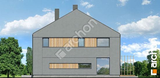 Бочний фасад Будинок в рео (Б)