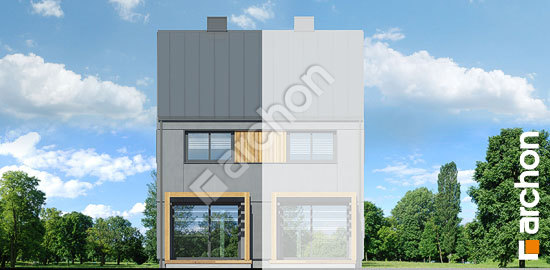 Дворовий фасад Будинок в рео (Б)