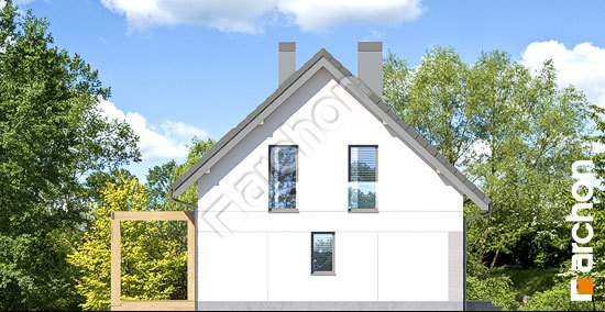 Бочний фасад Будинок в хлорофітумі (А)