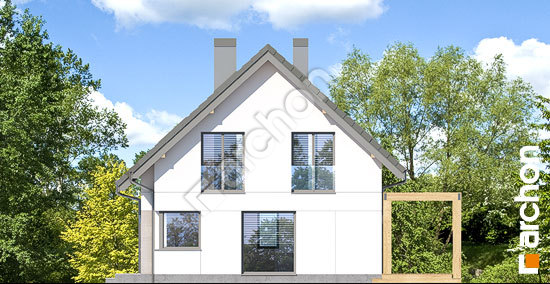 Боковой фасад Дом в хлорофитуме (А)