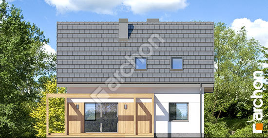 Дворовой фасад Дом в хлорофитуме (А)