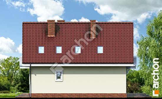 Бочний фасад Будинок в антонівці вер. 2