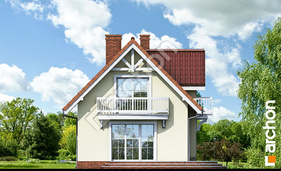 Дворовий фасад Будинок в антонівці вер. 2