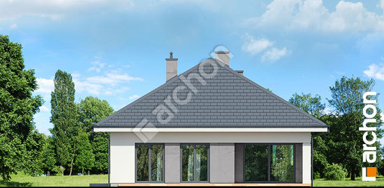 Дворовий фасад Будинок в хакетіях 10