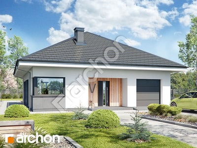 Проєкт будинку ARCHON+ Будинок в хакетіях 10 