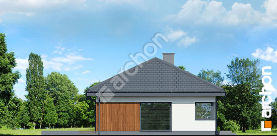 Бочний фасад Будинок у липниках 2