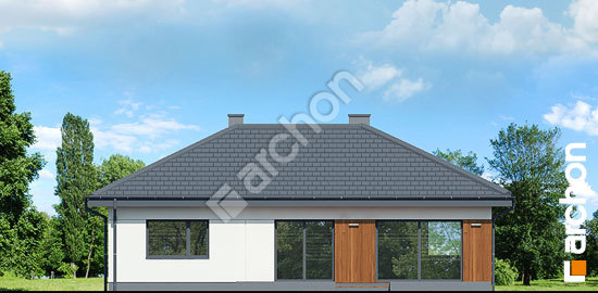 Дворовий фасад Будинок у липниках 2