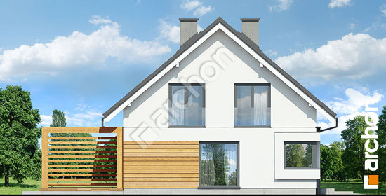 Бочний фасад Будинок у гвоздиках