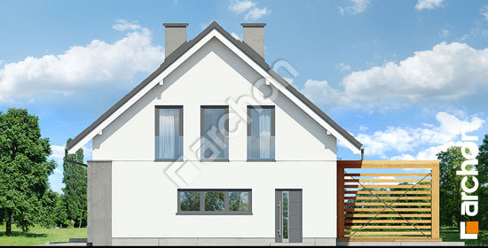 Боковой фасад Дом в гвоздиках