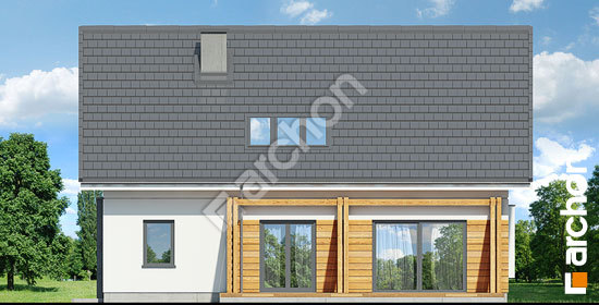 Дворовой фасад Дом в гвоздиках