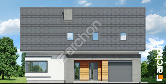 Передній фасад Будинок у гвоздиках