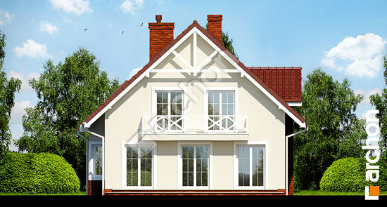 Дворовий фасад Будинок у лататті вер.2