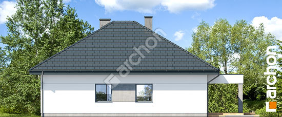 Бочний фасад Будинок в підсніжниках 3