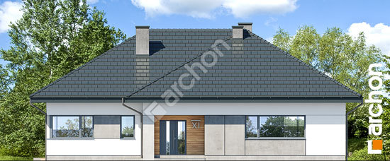 Передній фасад Будинок в підсніжниках 3