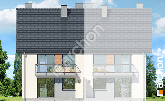 Дворовий фасад Будинок в фіалках (Р2БА) вер.3