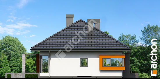 Бочний фасад Будинок під червоною горобиною (ПН) вер. 2