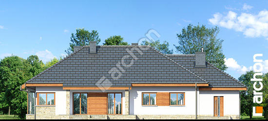 Дворовий фасад Будинок в гаурах 4 (Н)